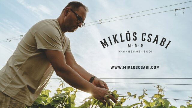 Miklos Csabi Elefant Nagydij